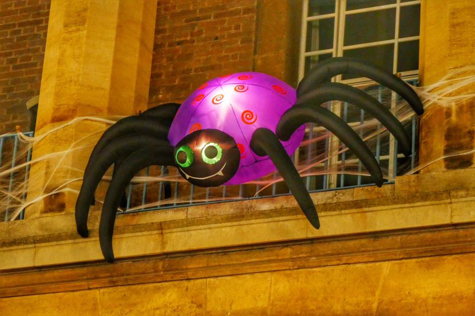 Douglas Dingwall spider.jpg
