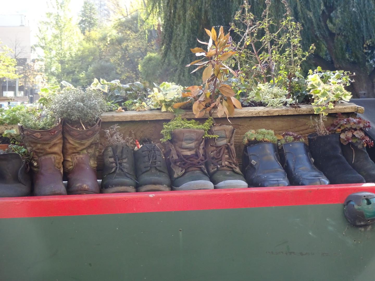 Elspeth Cox boots plants.jpg
