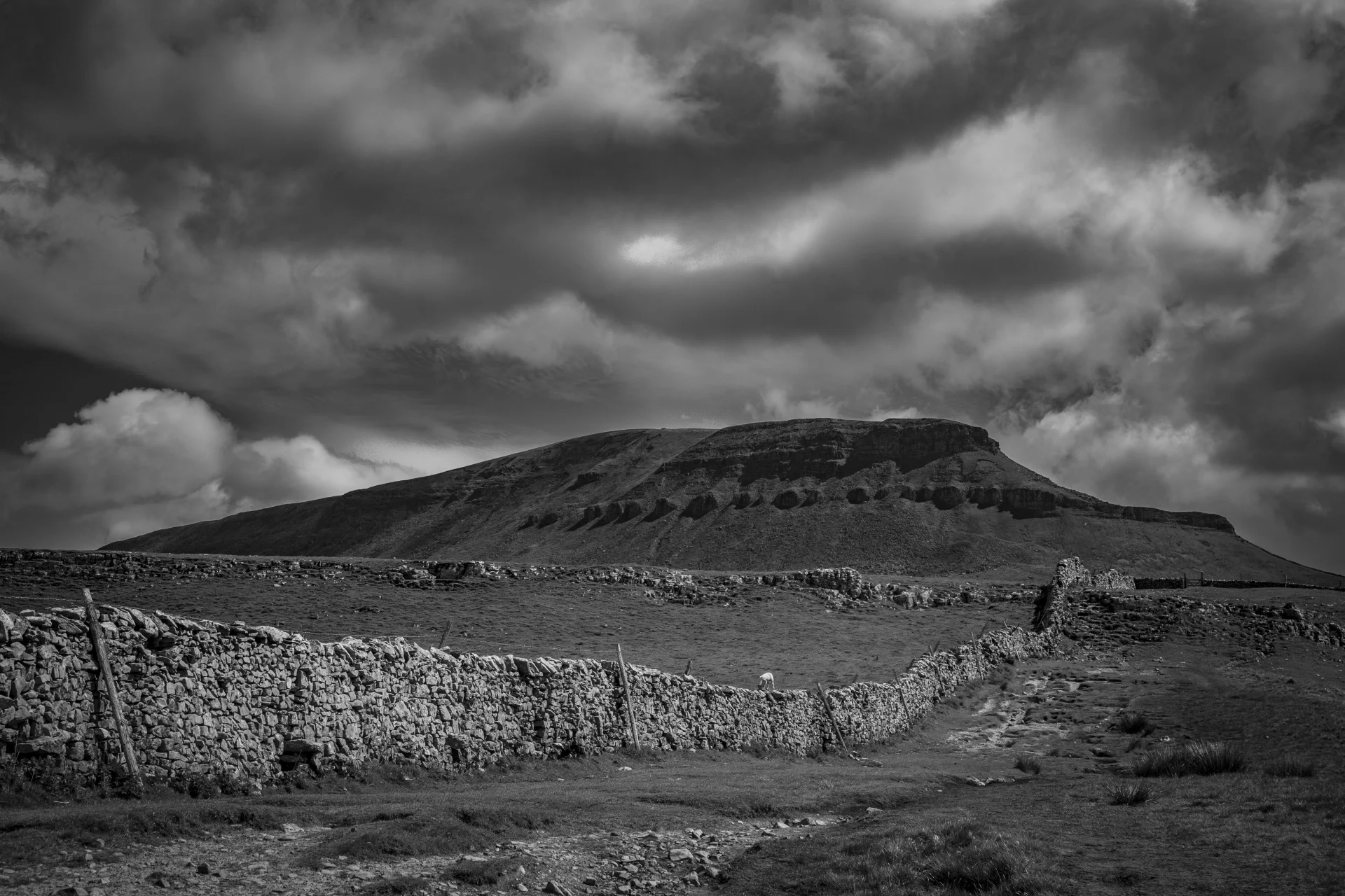 Penyghent, where the pair met.