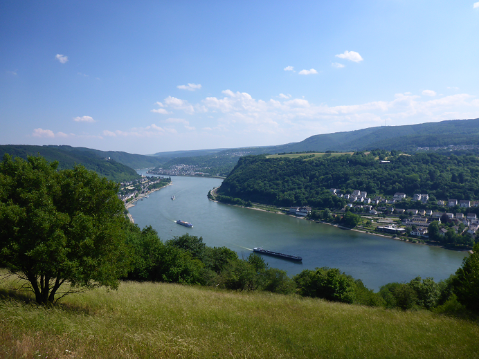 Rheinsteig_Rheinblick_2.png