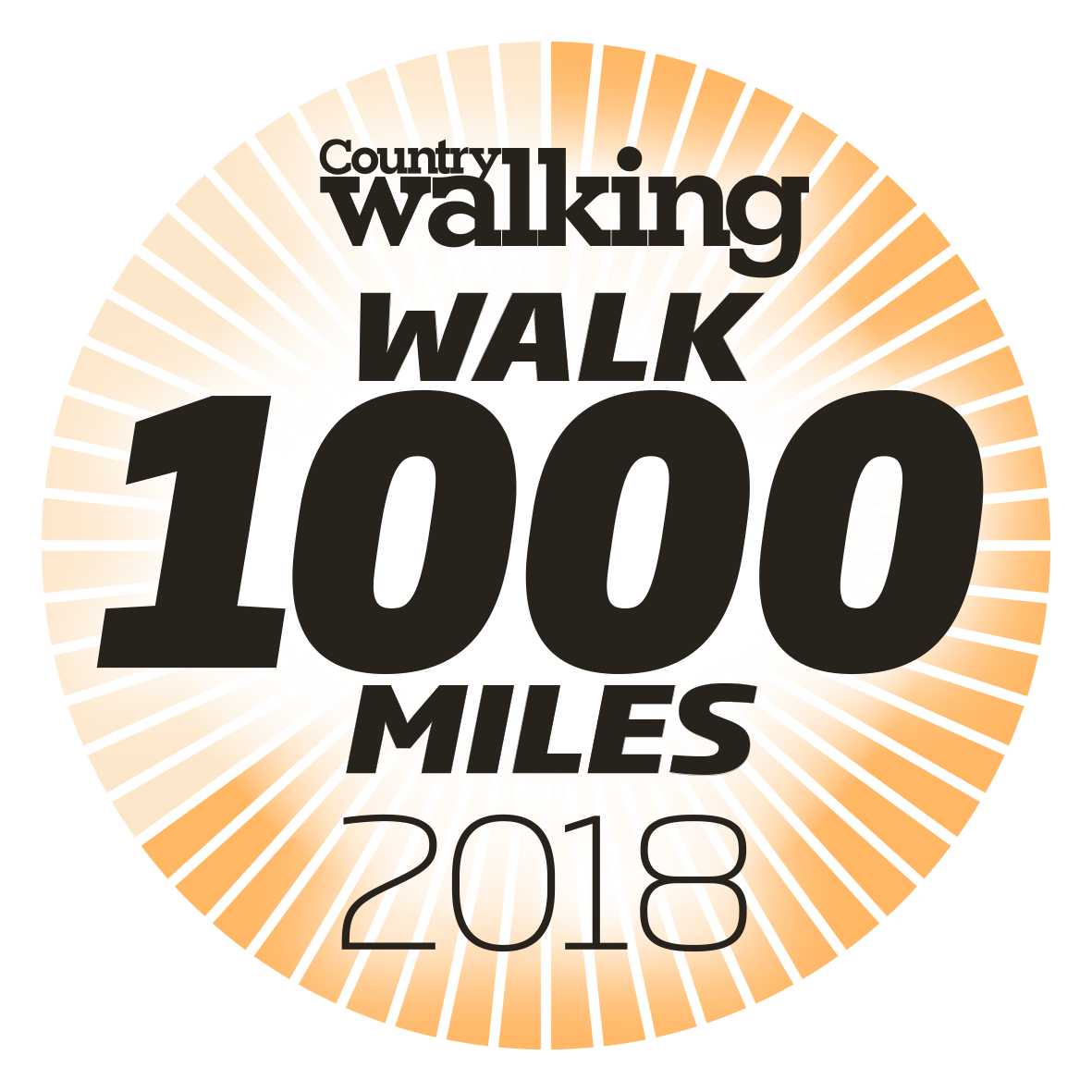 Walk 1000miles 2018 logo less segs.png