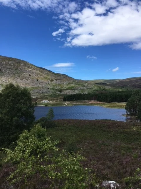 One of our lunchtime walks