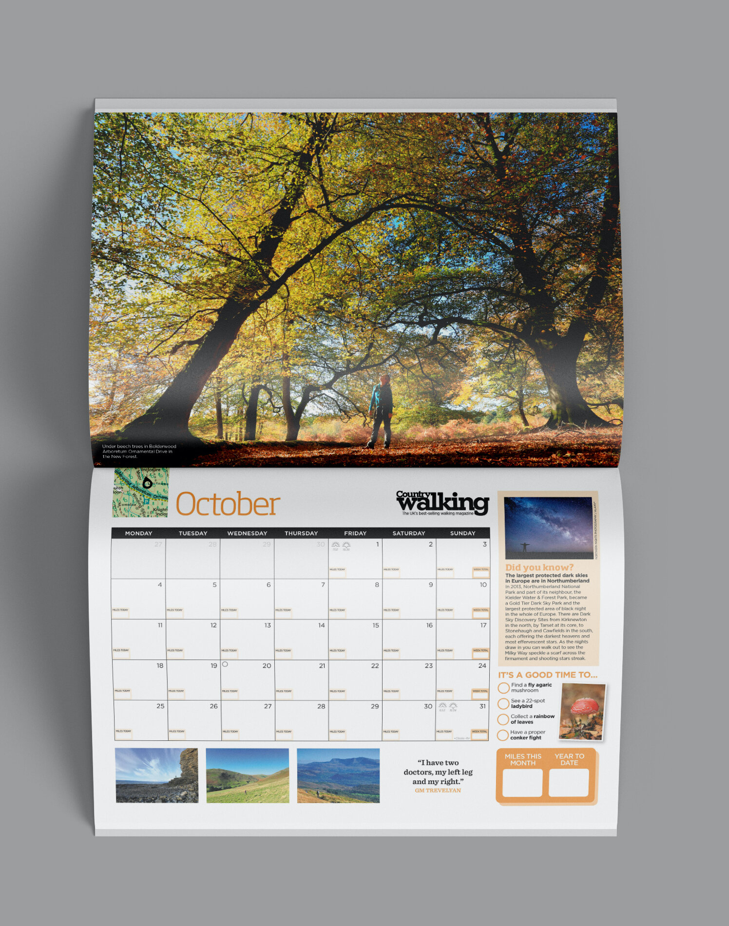 Totally Love It Fabulous Great Quality The 2021 Walker S Calendar Is A Hit Walk 1000 Miles totally office calendar 2021