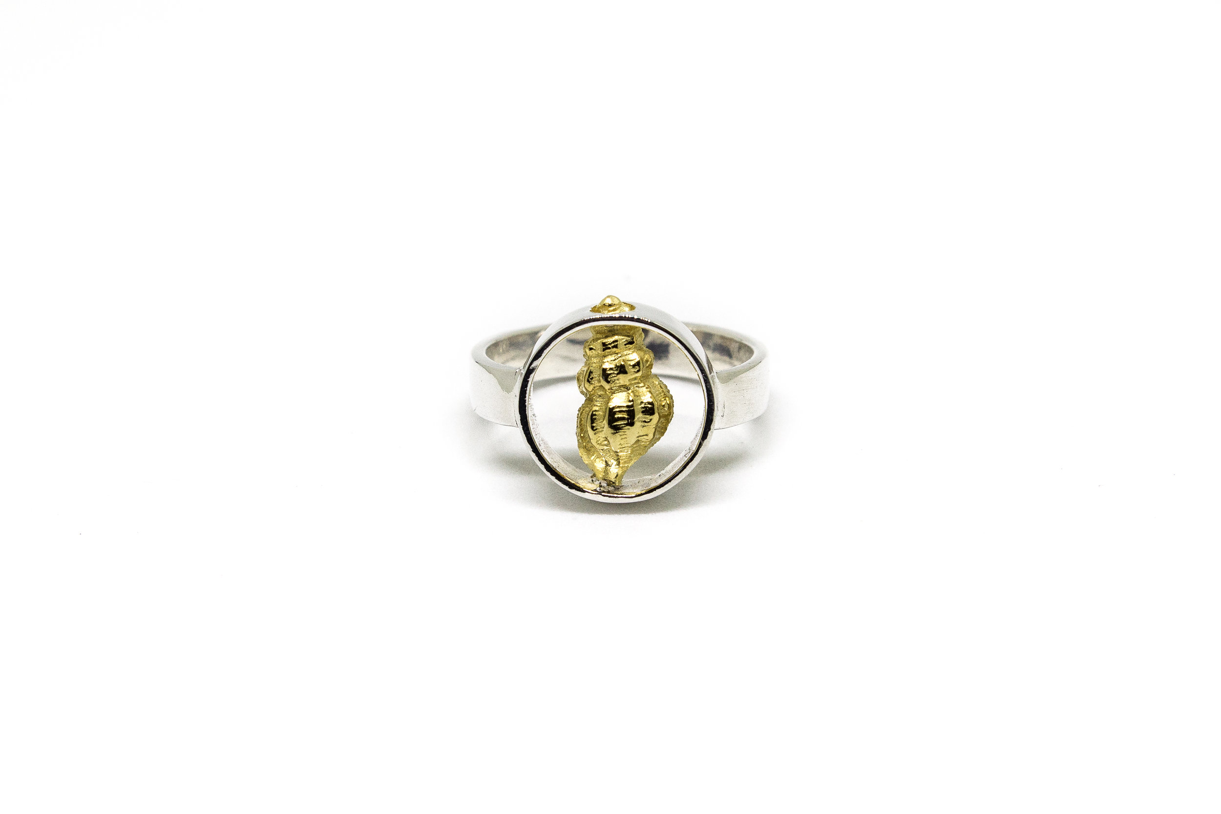 circle and gold shell front.jpg