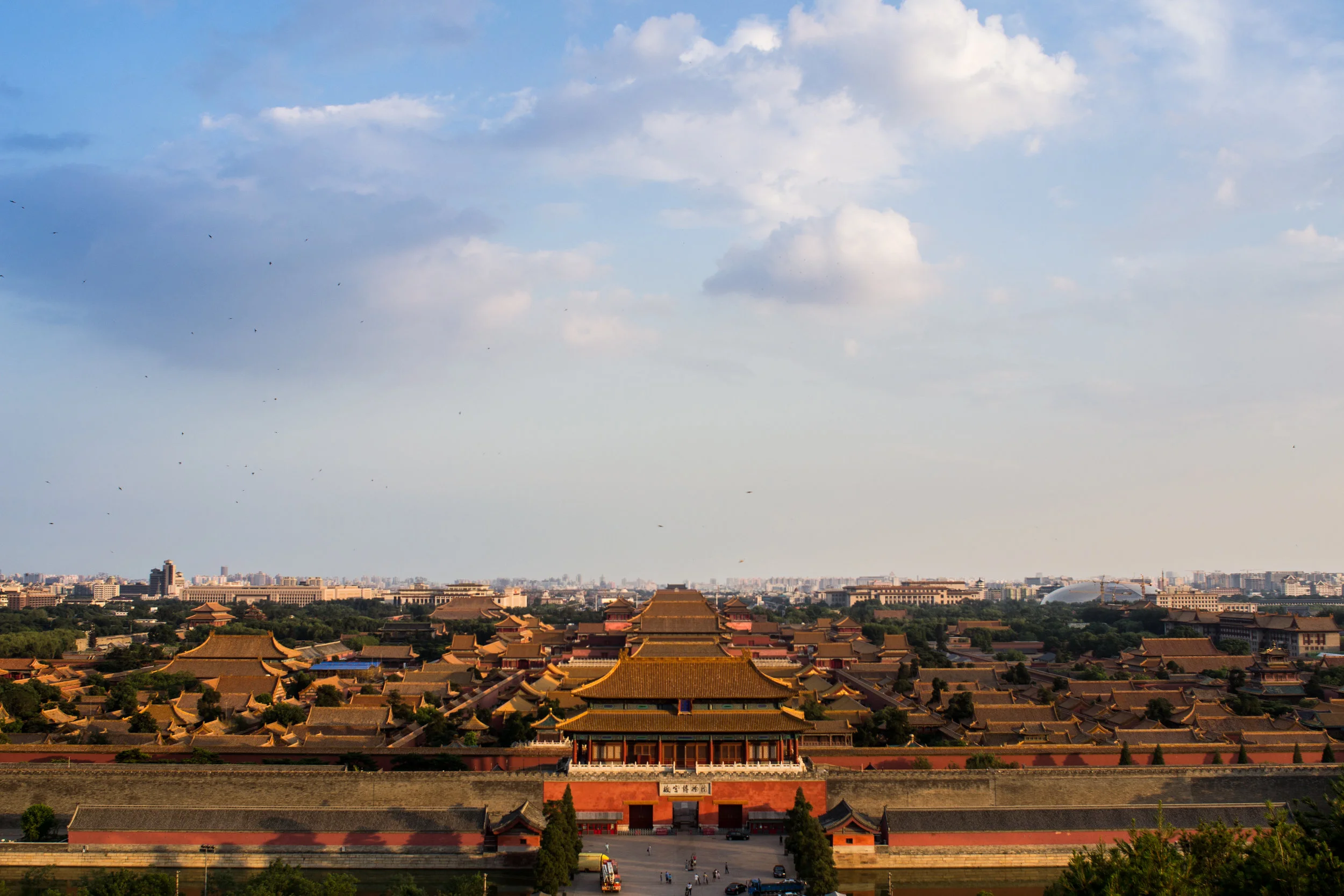 forbidden city birds.jpg