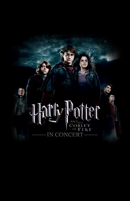 Harry Potter And The Deathly Hallows Part 2 The Harry