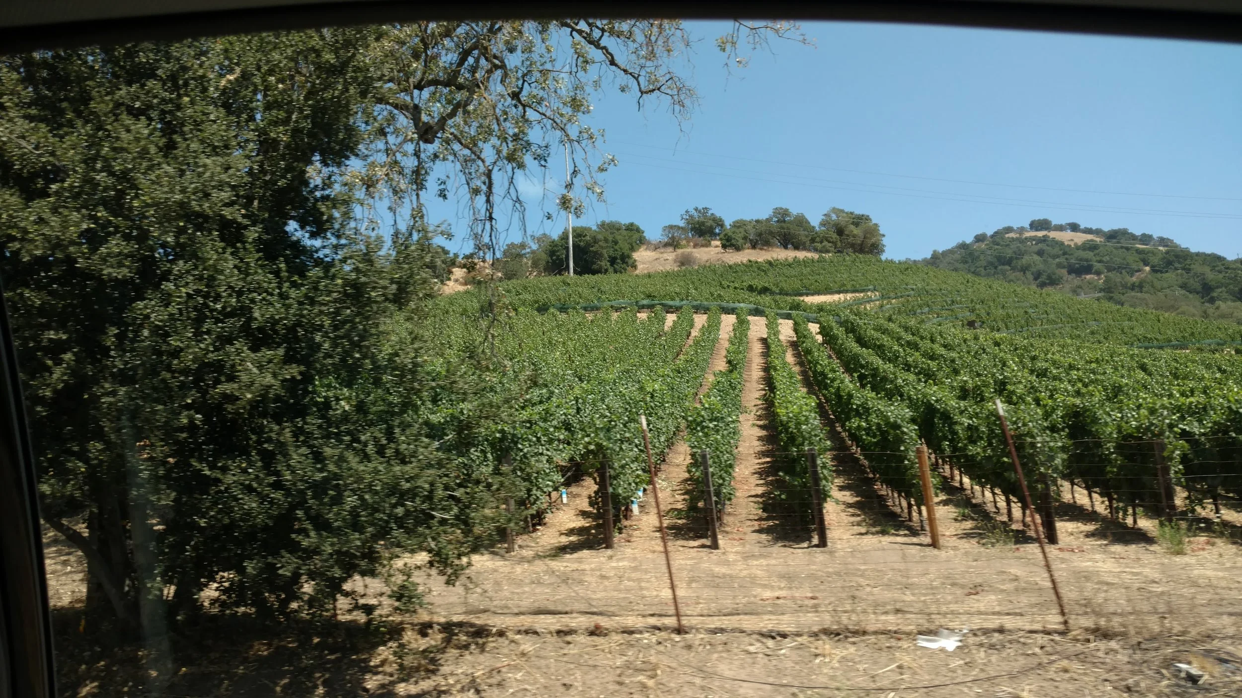 California Dreaming Part 3:  The Rest.