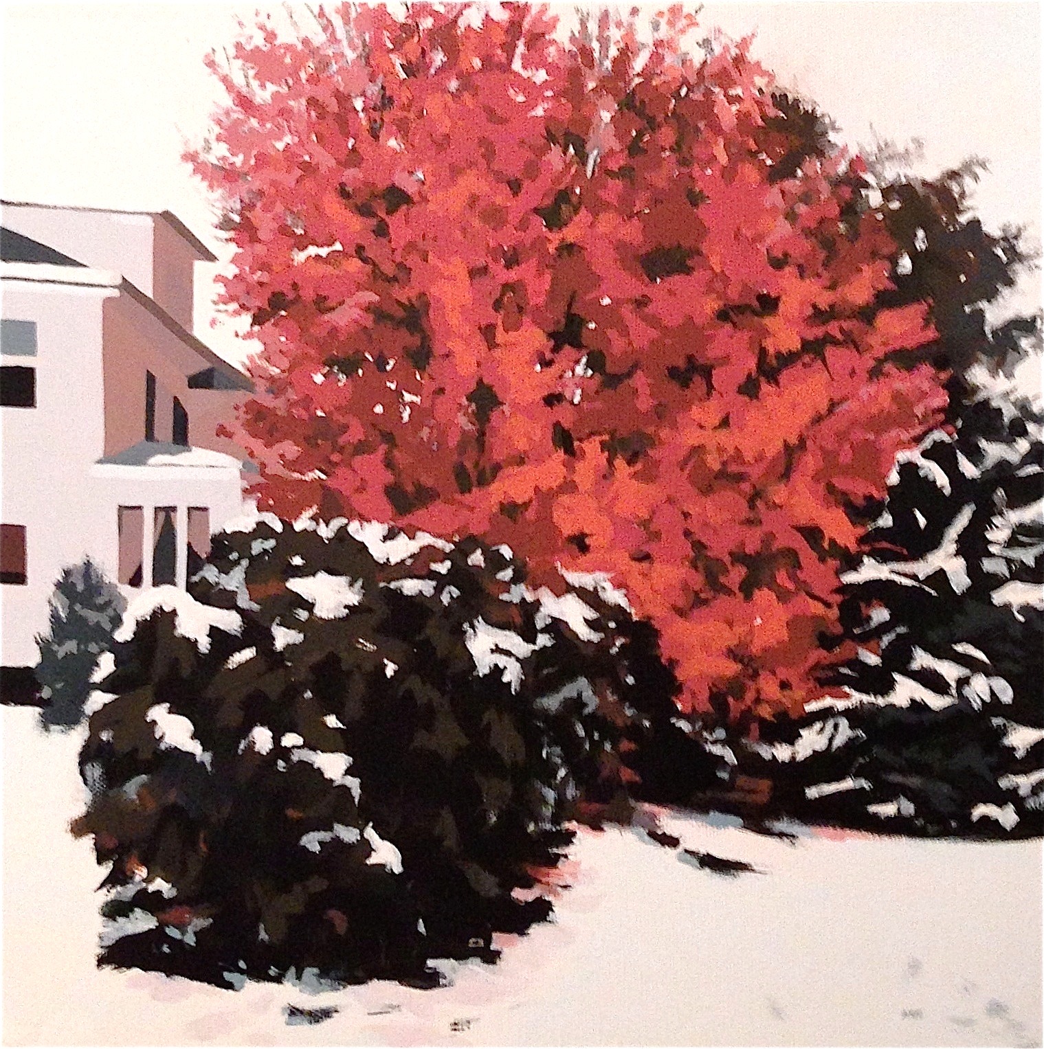 "Red Maple in Winter"
