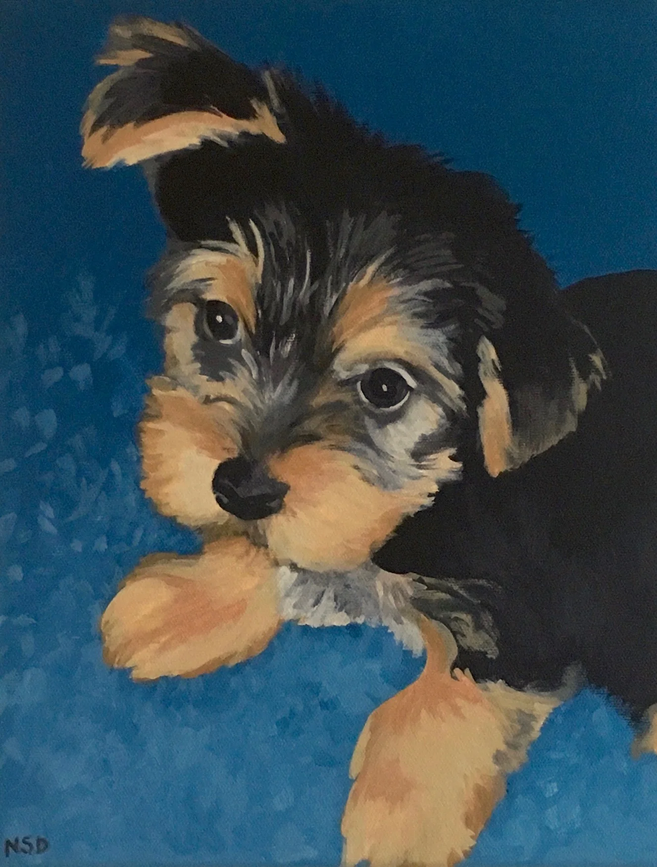 Portrait of Nell (copyright 2017, Nina Davidowitz)