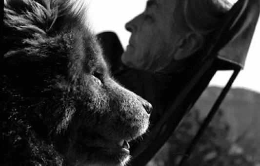 Georgia O'Keeffe and her Chow. (Photographer John Leongard)