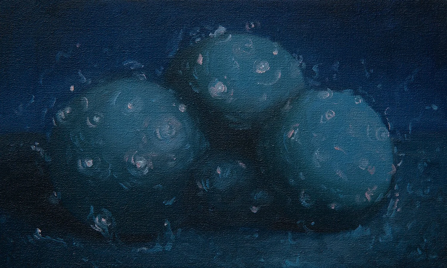 Struik in de Nacht