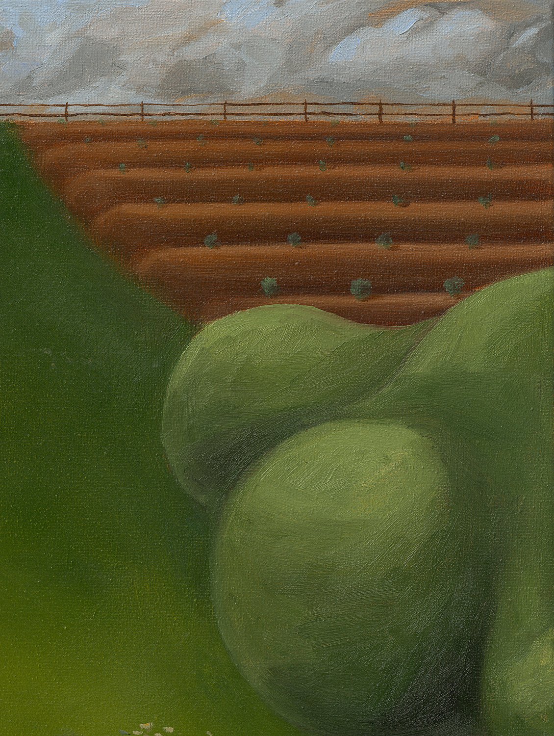 Struikje_low_close_5.jpg