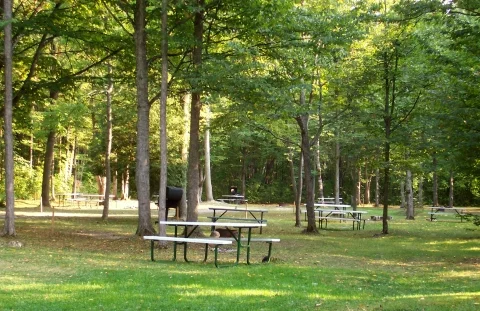 camping2.jpg
