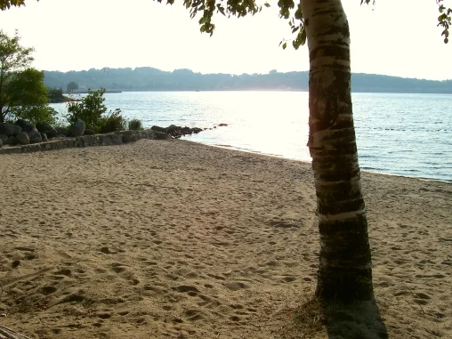 beach1.jpg