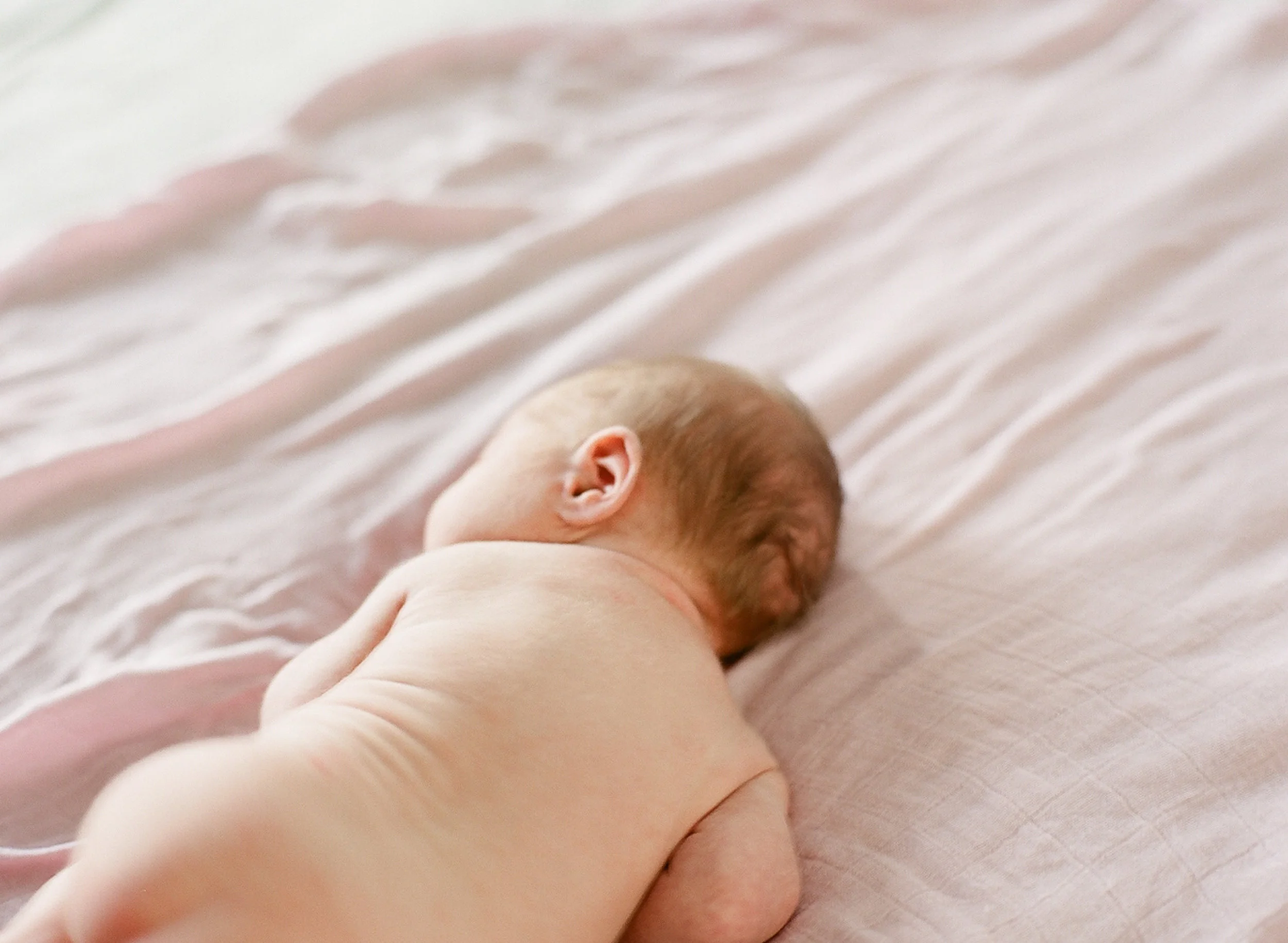 film bonphotage -9993792.jpg