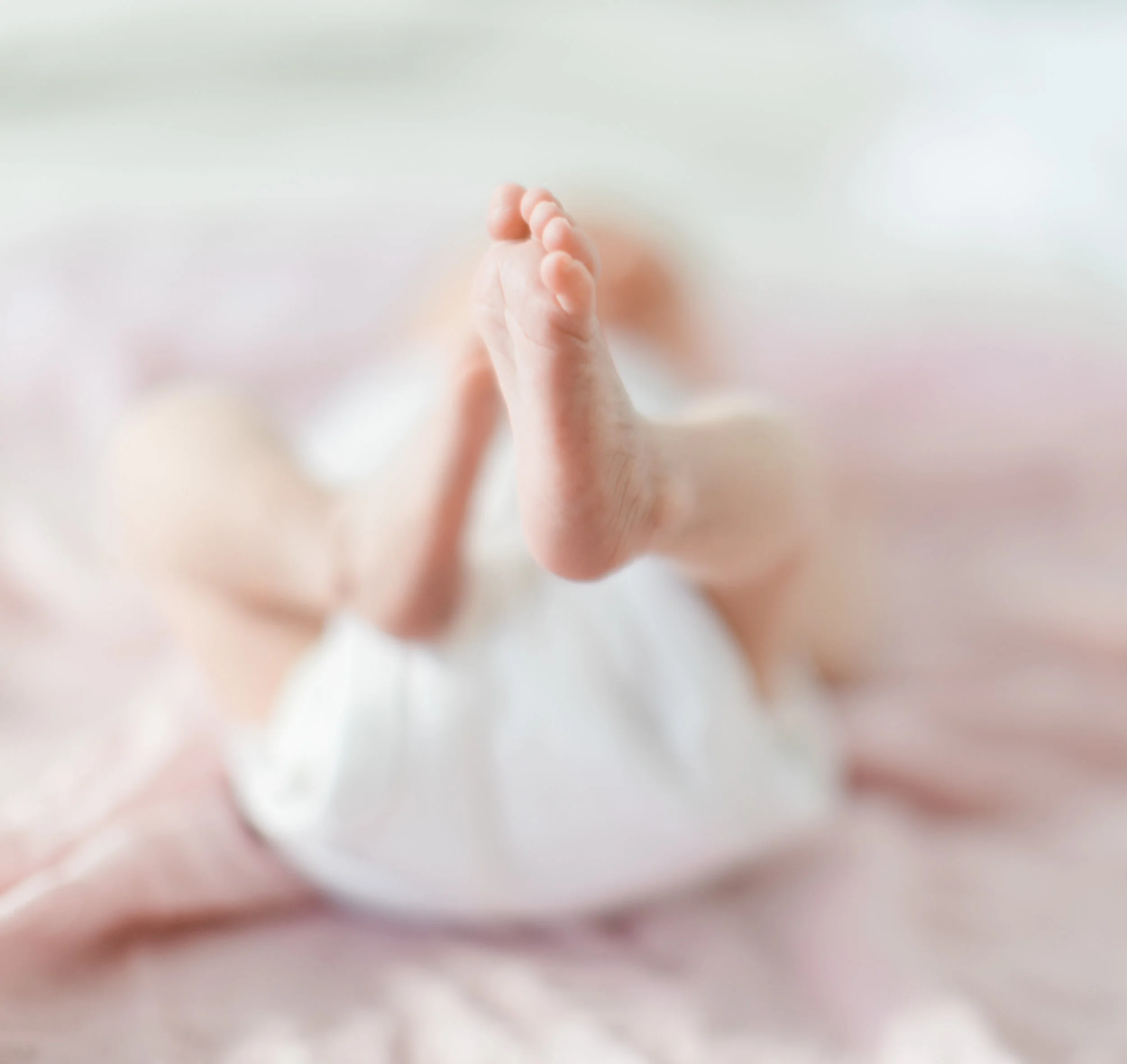 bonphotage -999211.jpg