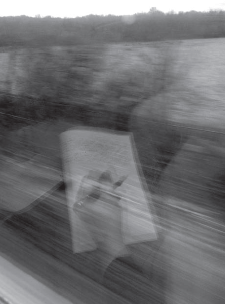 Captura de pantalla 2026-03-12 173719.png