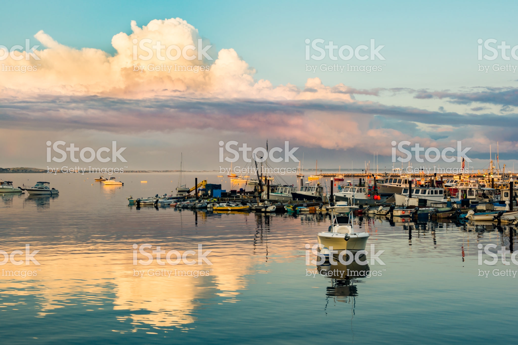 harbor.jpg