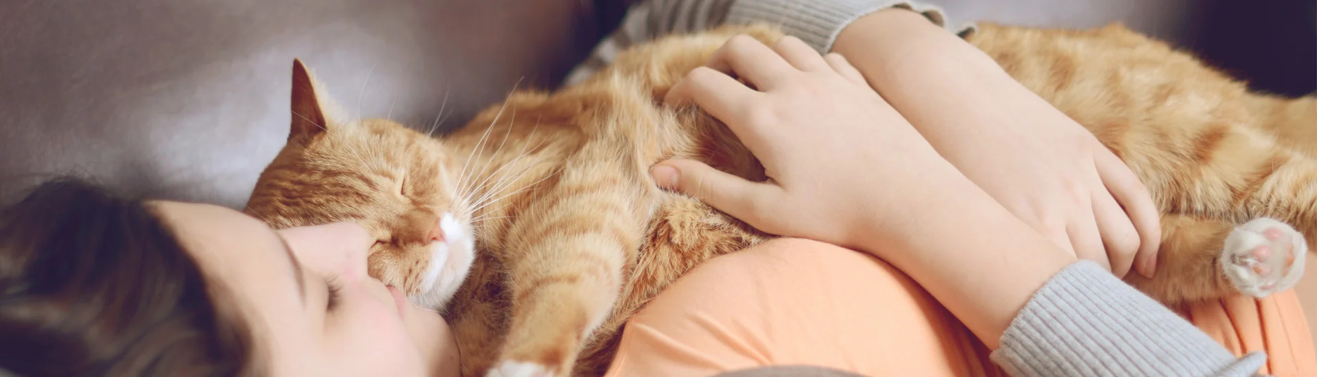 banner-petowner-petplan.jpg