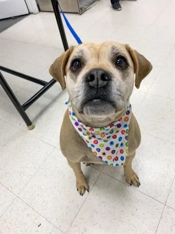 bailey.jpg