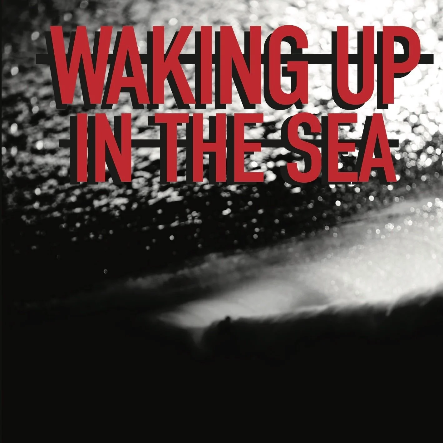 WAKING UP IN THE SEA BOOK by DEREK DUNFEE