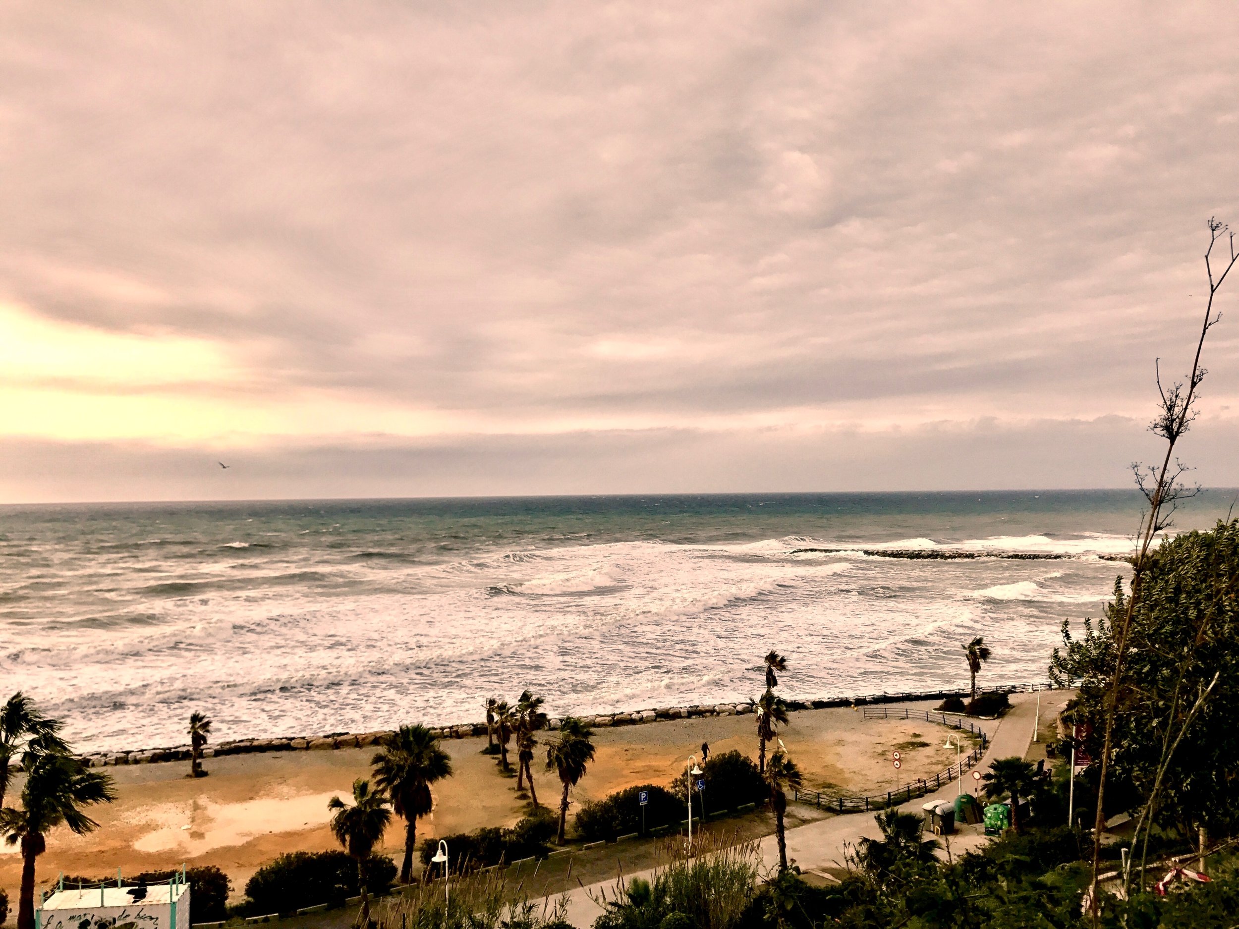 Views in Malaga, Spain. Photo by Mansi Tanna .