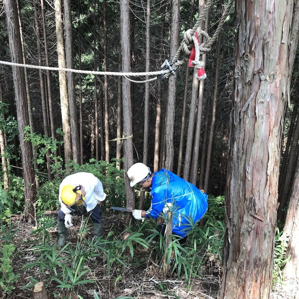 The work was tough and boring, but it was a good time enjoying the fresh air in the forests. Photo Courtesy: Kaizhao (Zero) Lin