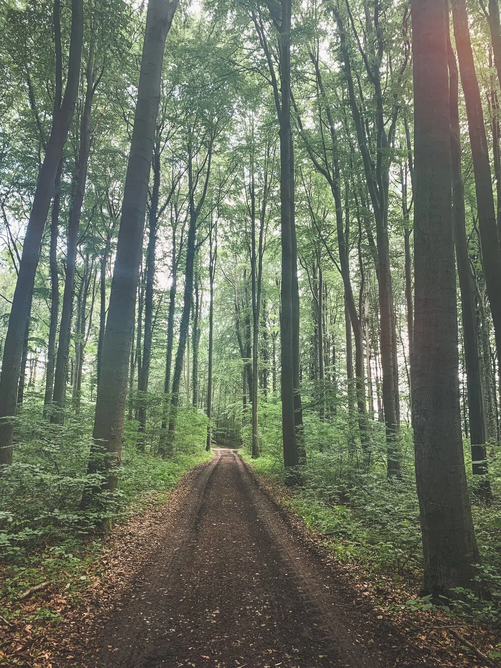 Mindful Running.jpeg