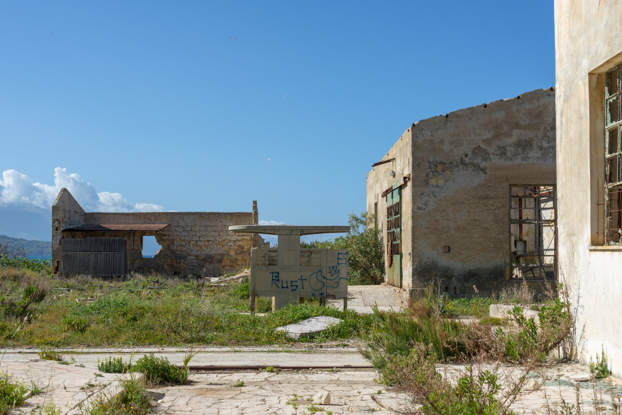 _D802281.jpg