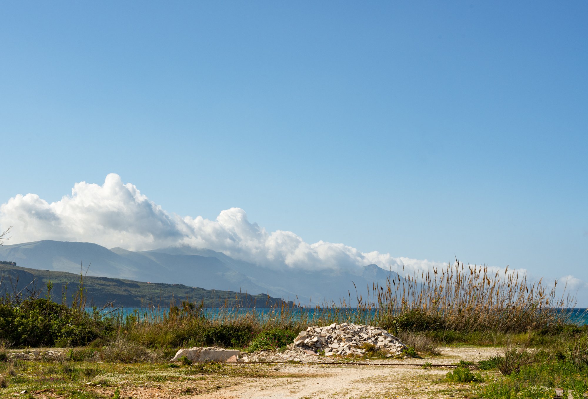 _D802282.jpg