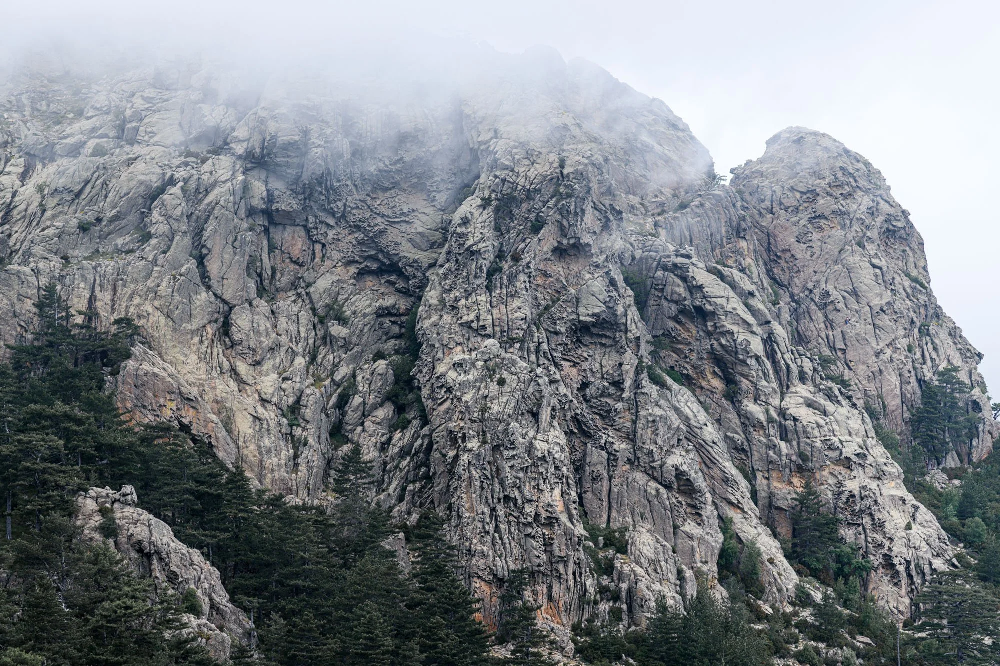 Johanne Debas , photographer , cinematographer