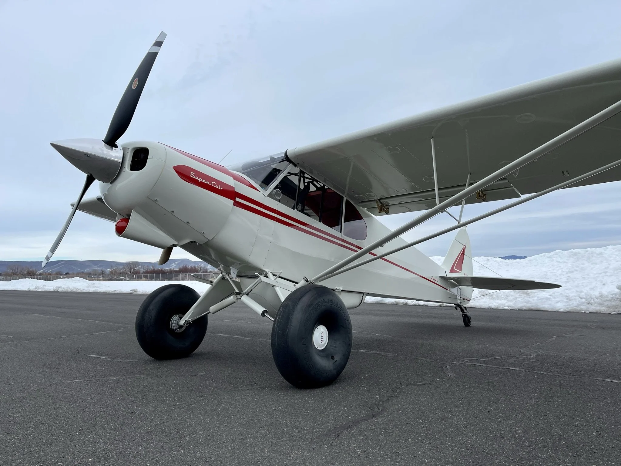 Super Cub 1.jpeg