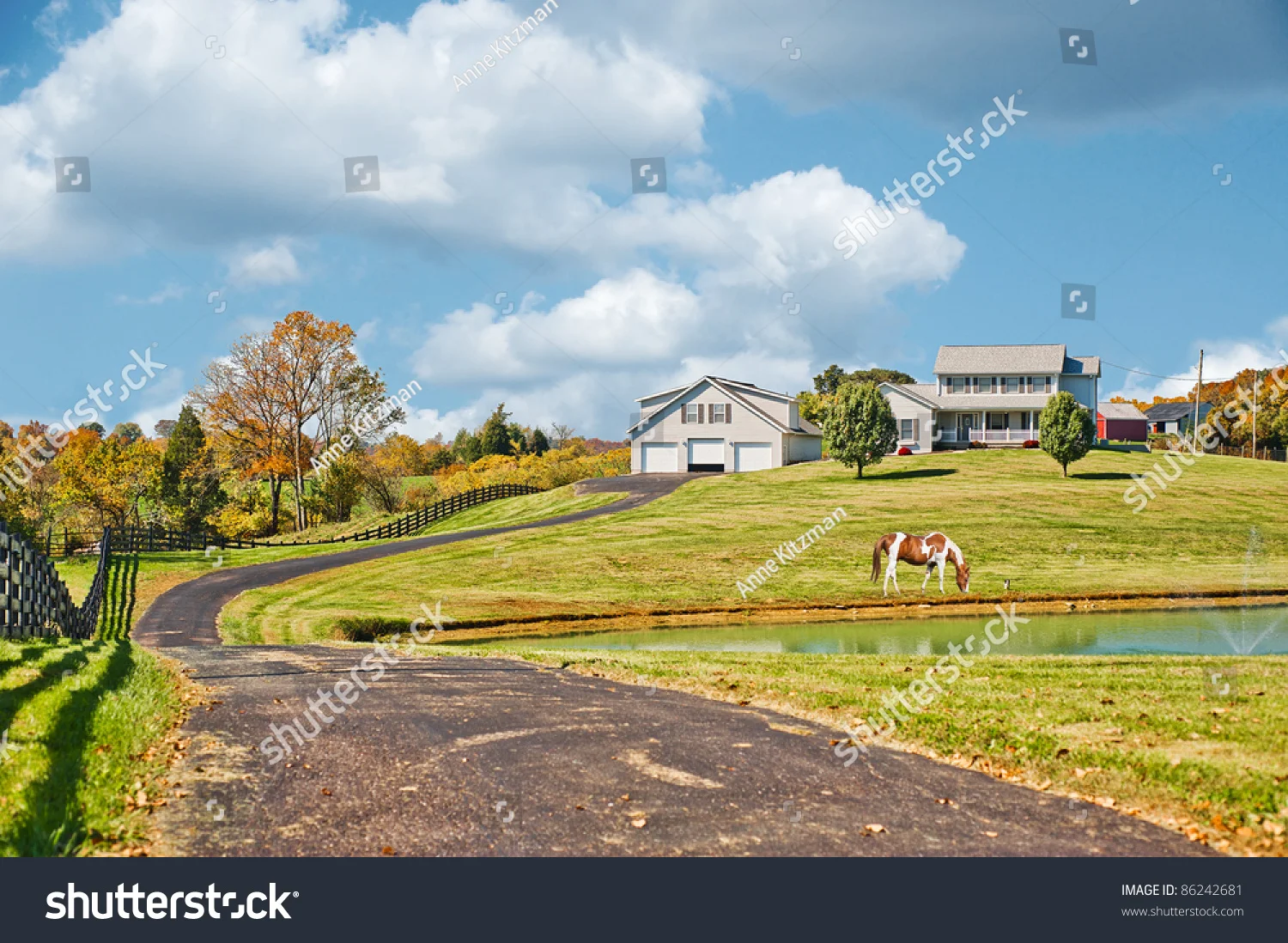 stock-photo-a-horse-grazing-near-a-pond-at-a-horse-farm-in-the-hills-of-kentucky-usa-in-autumn-86242681.jpg