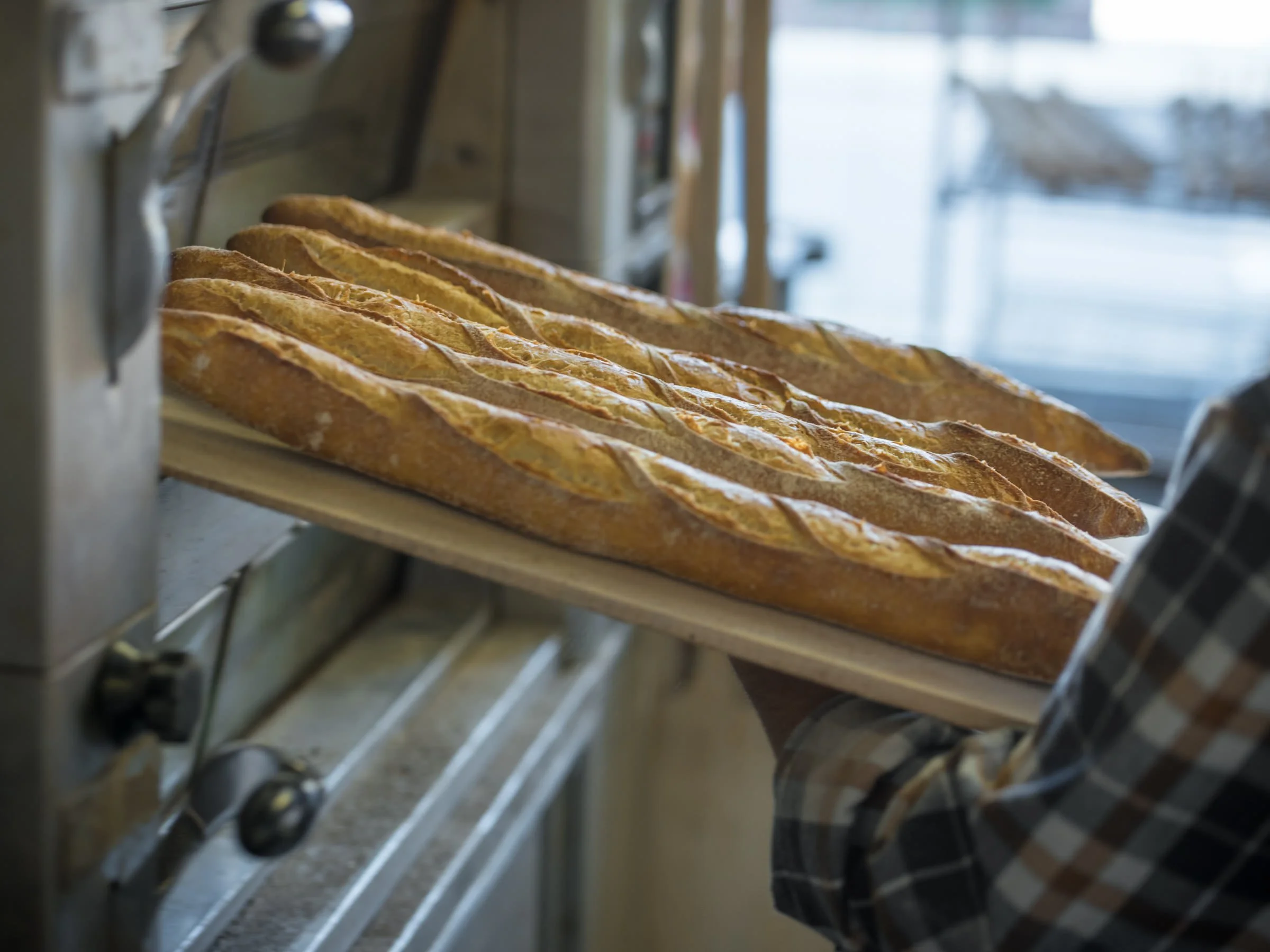 BreadHive Cafe & Bakery