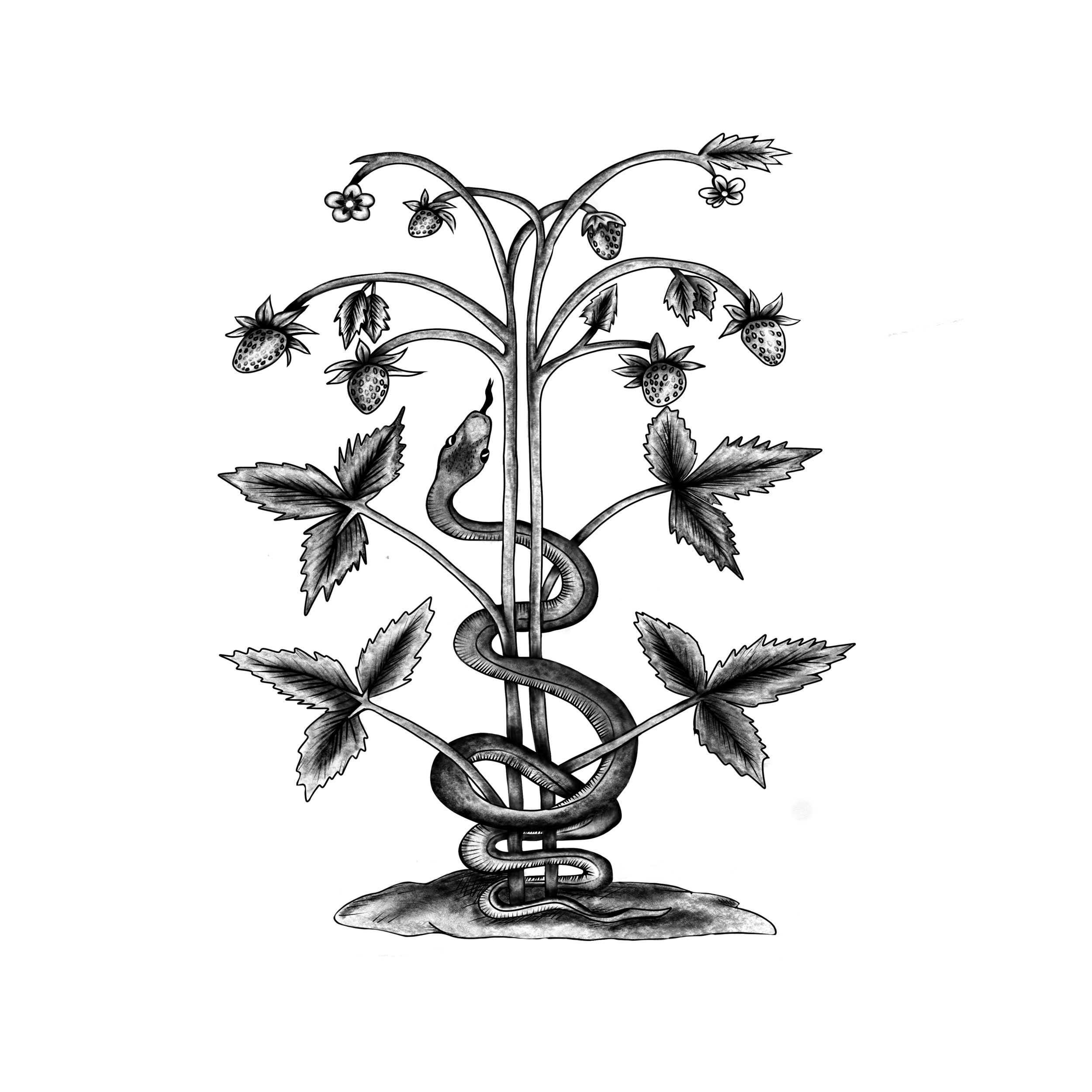 snake clock.png