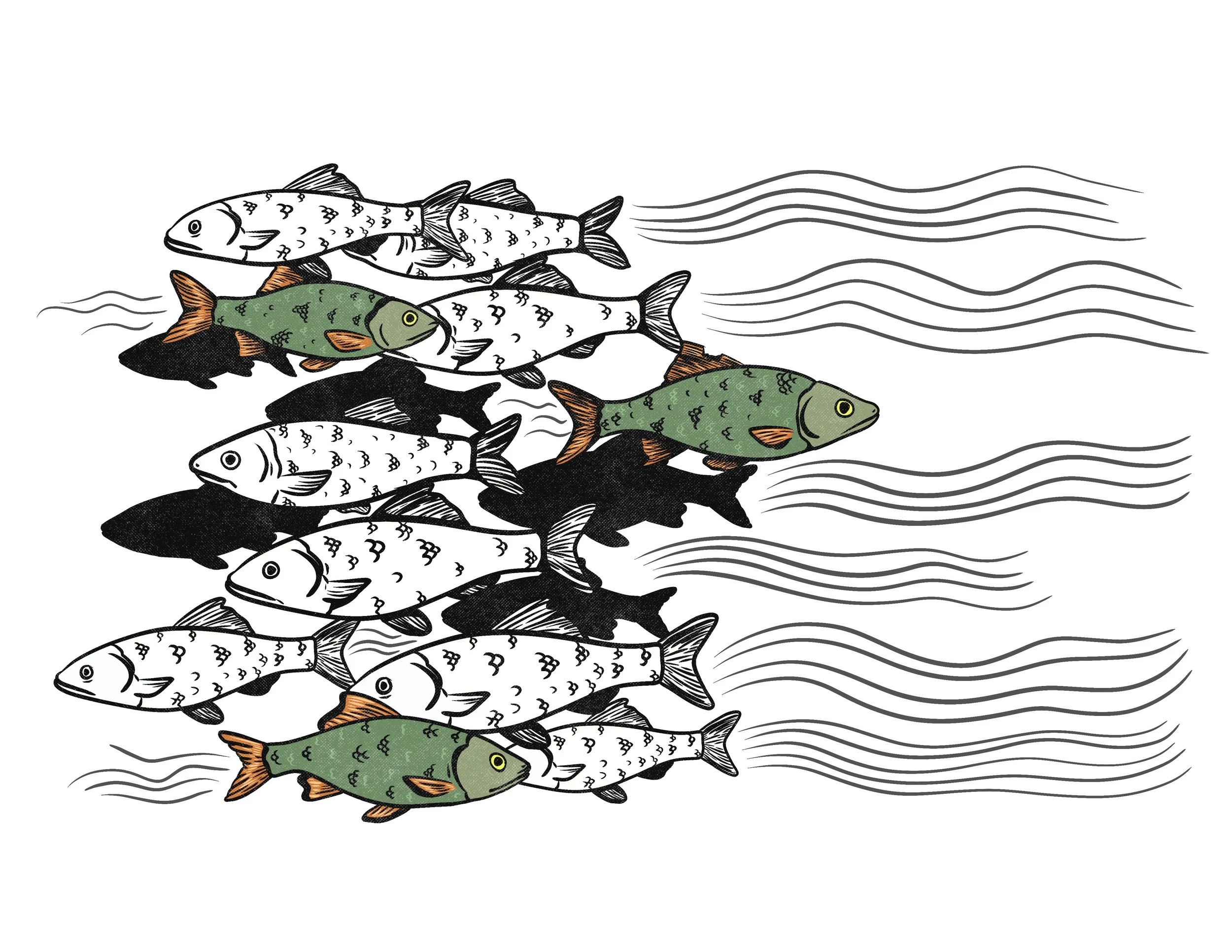 Internationalisme et altermondialisme.jpg