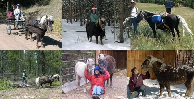 The Partnered Pony