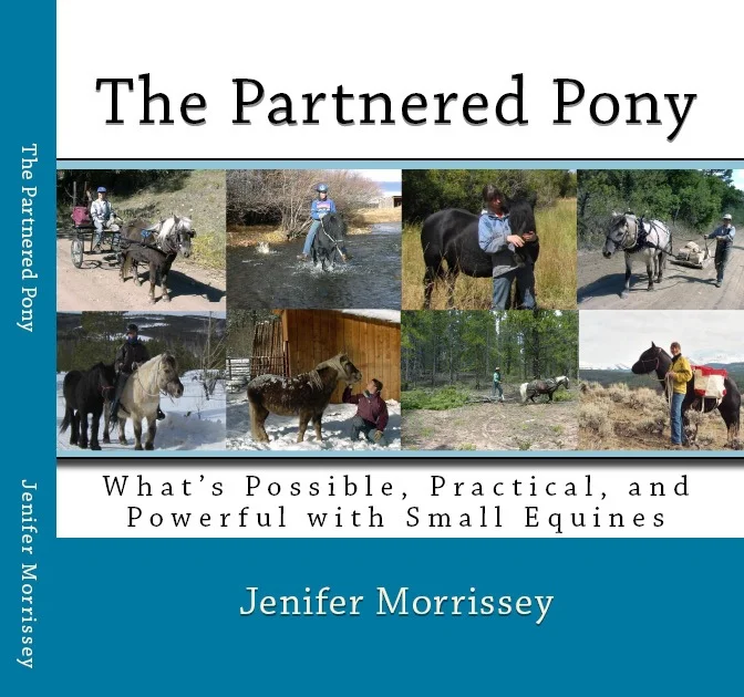 BookCoverPreview Front.jpg