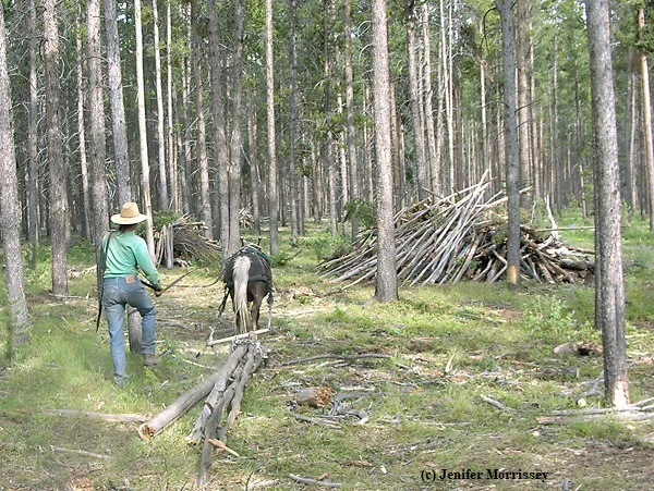 0307_MRRSkiddingBrush small.jpg