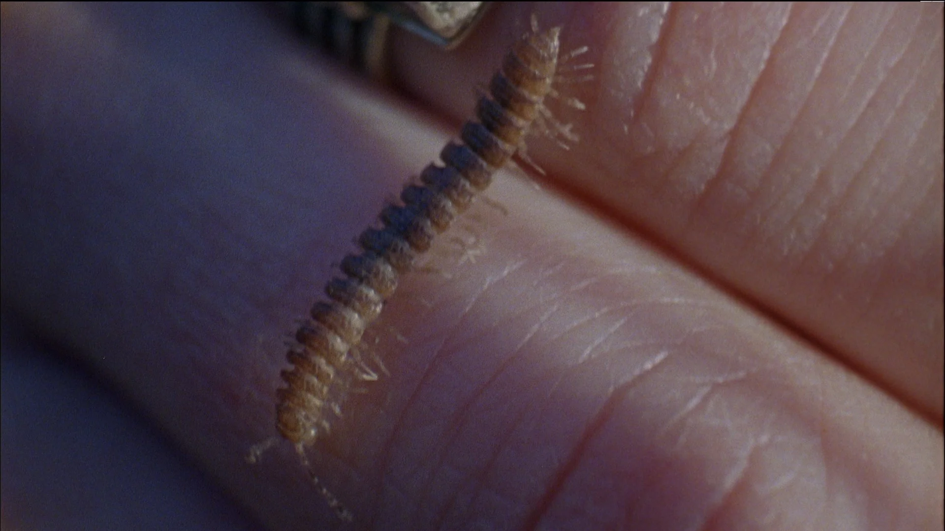 Still from the video for ‘I’m Not Looking’ directed by Nina Porter