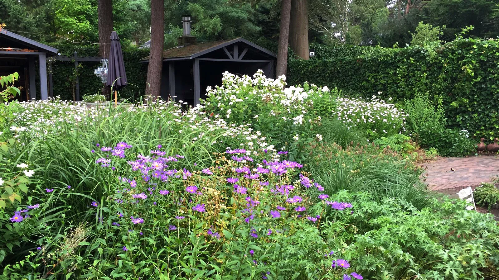 Terras Tuin