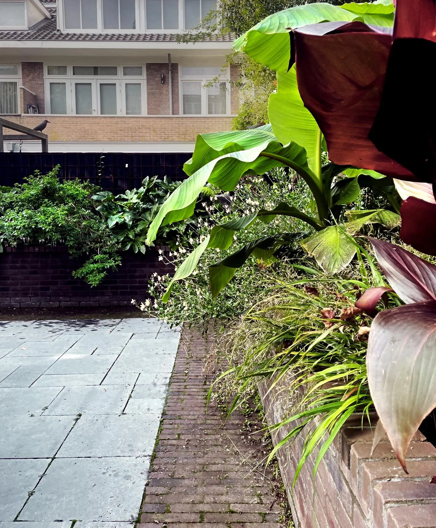 Tropische binnenplaats