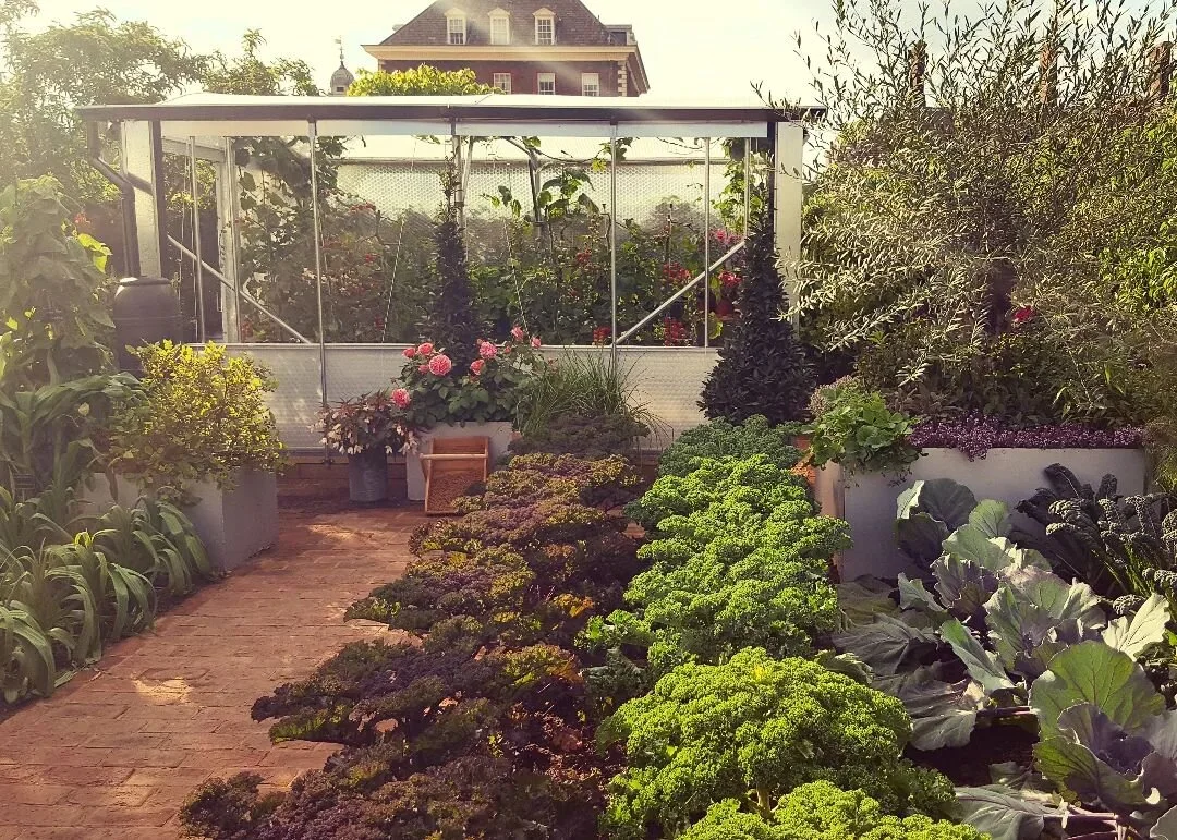 Hoe sfeervol kan een moestuin zijn? Hier een voorbeeld van de Chelsea Flower Show 

#tuin #tuininspiratie #moestuin #moestuinieren