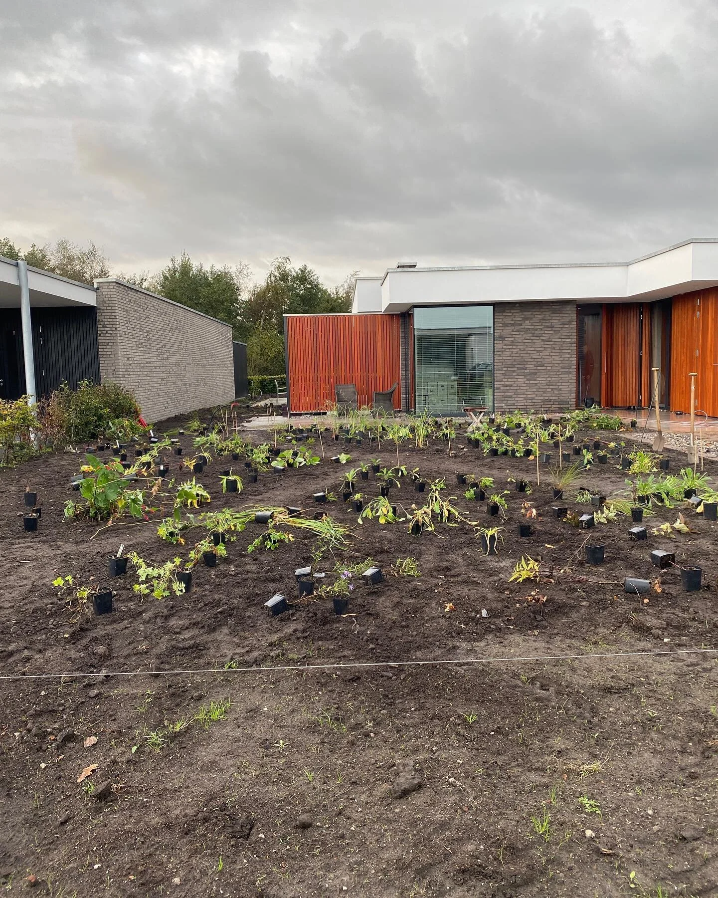 Eerste jaar aanplant bij deze nieuwe woning in Brabant Hapert, het begint erop te lijken #biodiversity #bloemborders#tuinonwerpmet bloemen #tuinonwerpAmsterdam#bij&amp;bloem