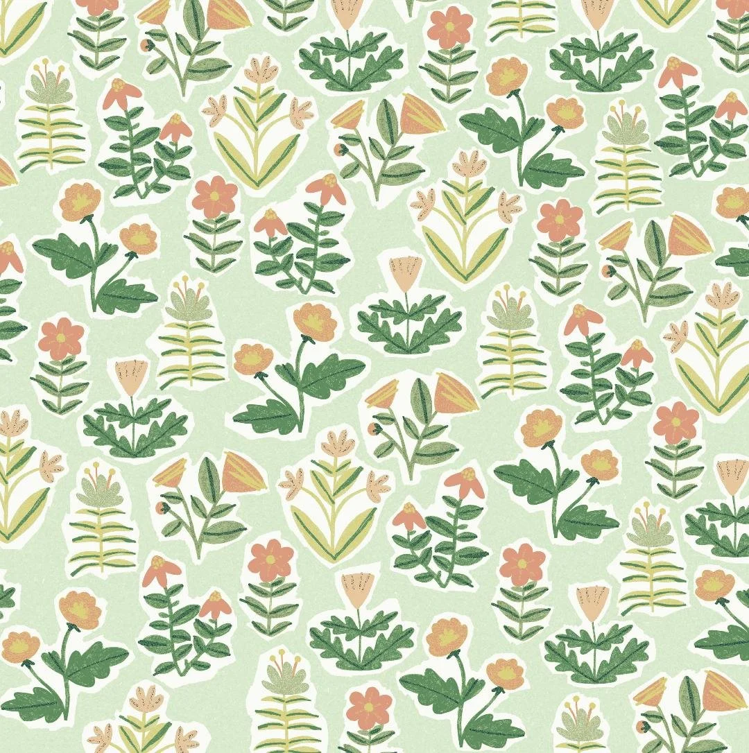 floral illu.jpeg
