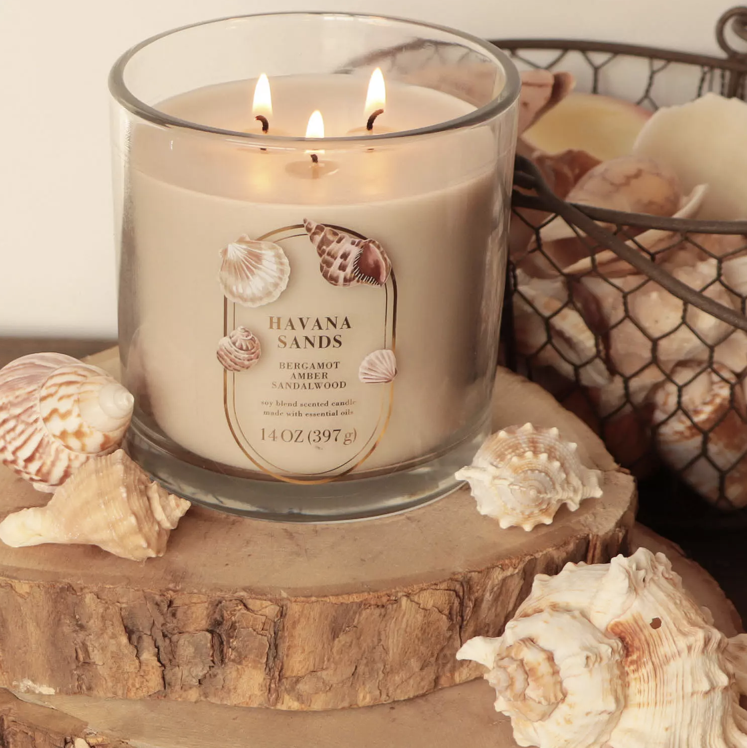 Screenshot 2025-12-29 at 8.22.05 AM.png