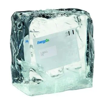 Sarah Backs Call for Energy Price Freeze