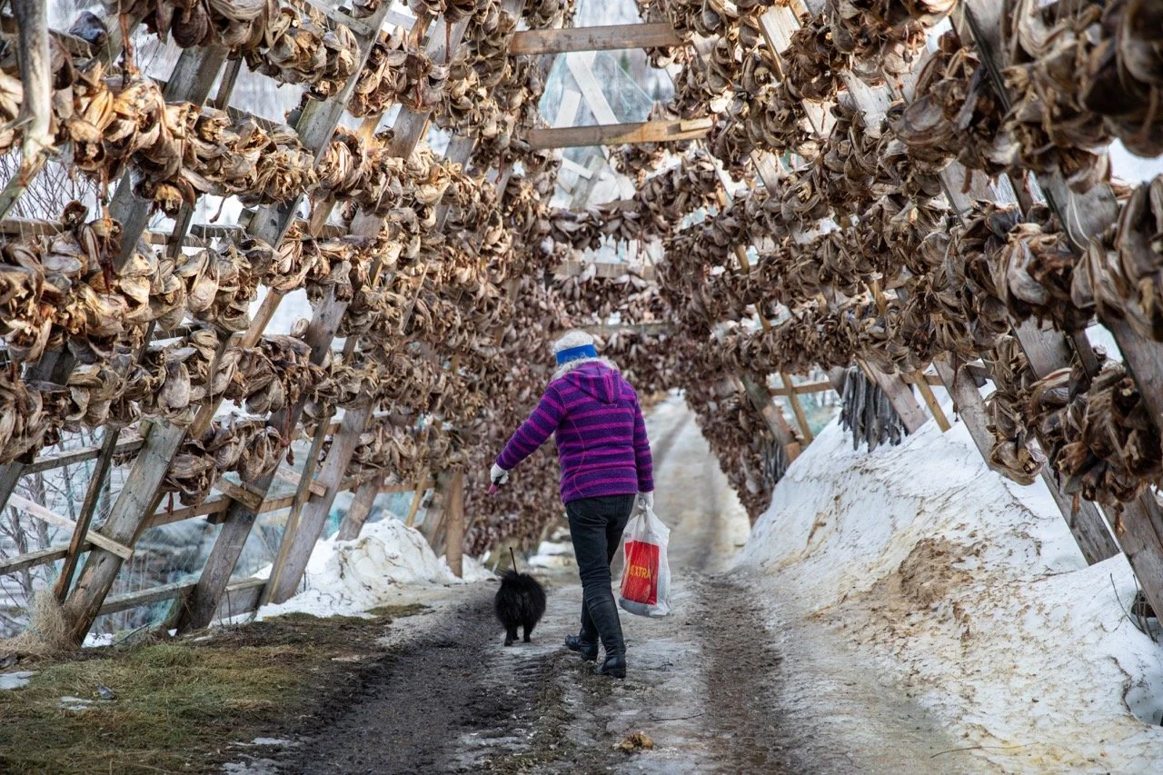 Uten tittel (fiskehjeller)