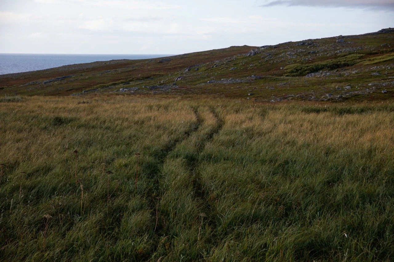 Uten tittel (Sørøya)