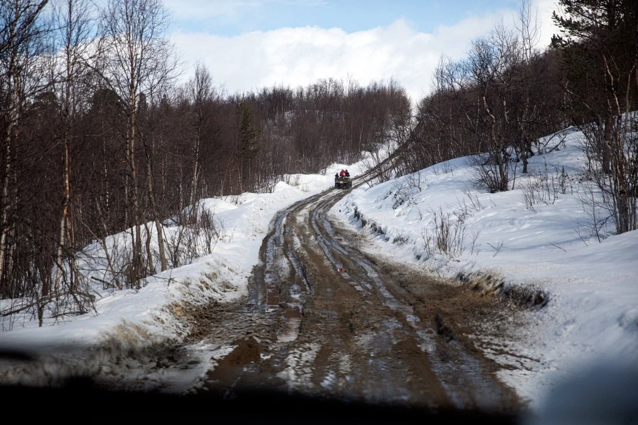 Uten tittel (mildvær)